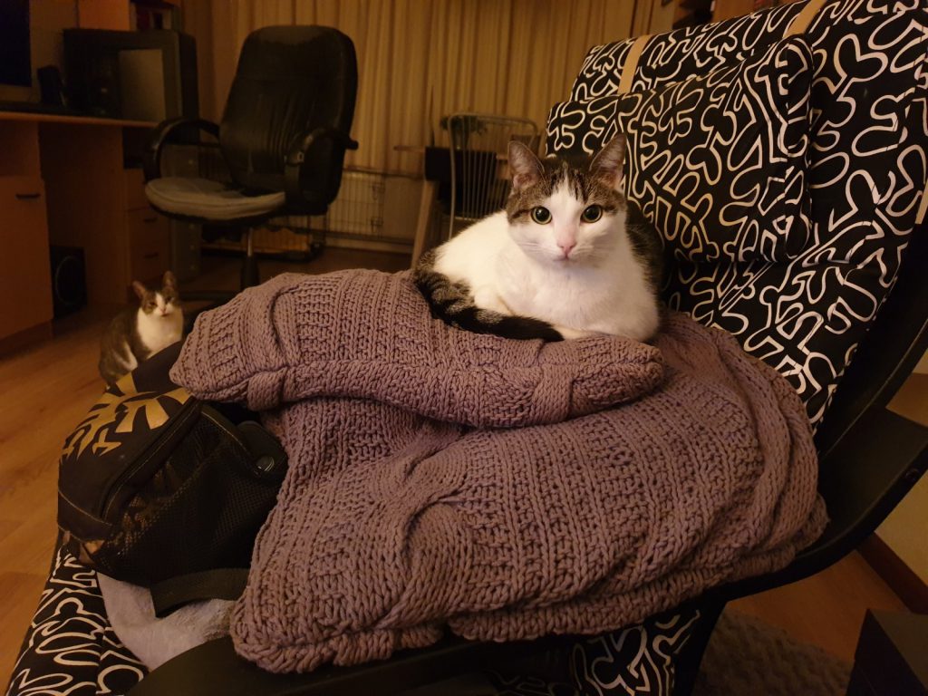Leo & Yuki