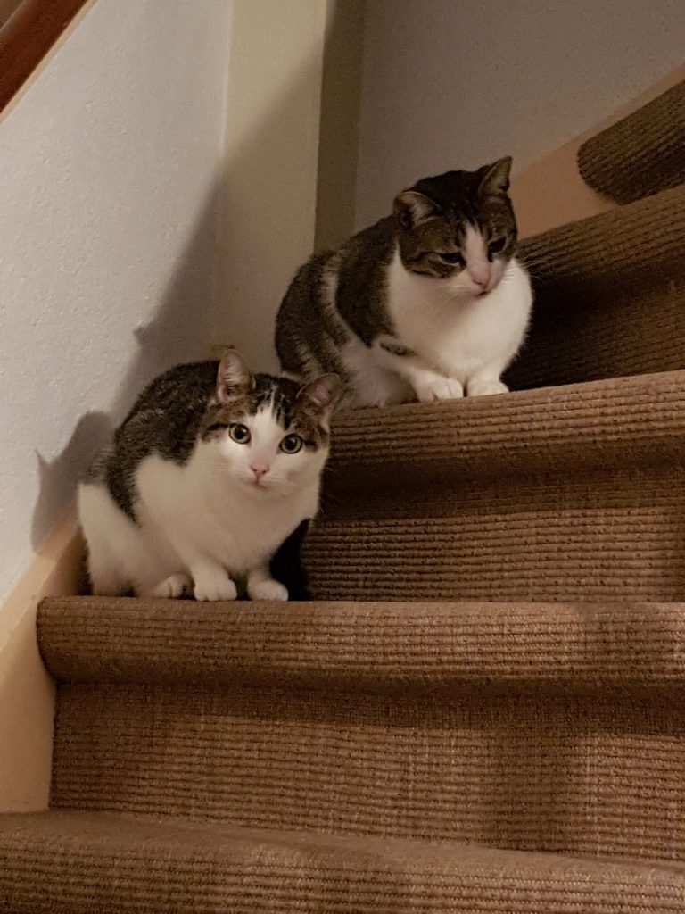 Yuki & Leo